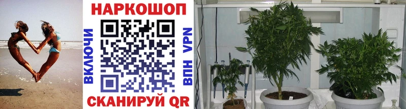Где можно купить наркотики Переславль-Залесский Канабис СК Кокаин ГАШИШ МЕГА как зайти Меф Амфетамин