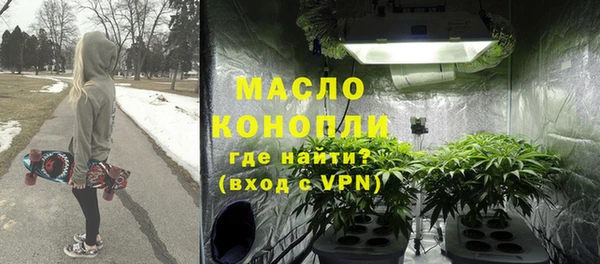сатива Грязовец
