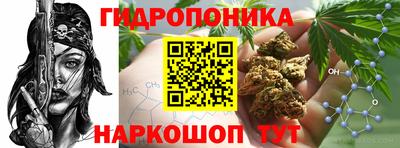 apvp Абакан