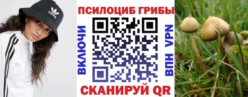 Галлюциногенные грибы прущие грибы где найти наркотики Переславль-Залесский